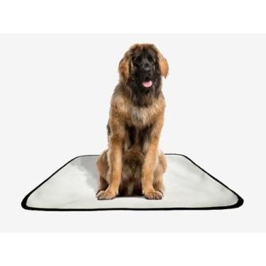 Imagem de Tapete Pet Reutilizável Educador Dog Oferta 7Un G2 120X120Cm - Shelby 