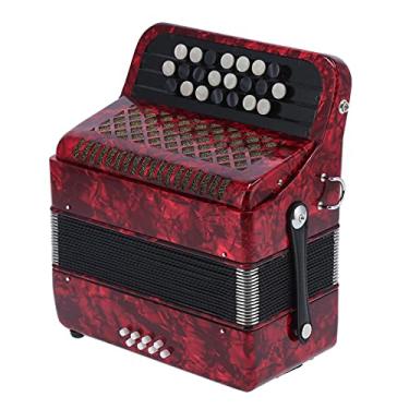 Imagem de Acordeão de piano com 22 teclas 8 graves, acordeão profissional elegante ergonômico mais estável com bolsa de armazenamento, botão polido à mão, instrumento musical educacional para iniciantes