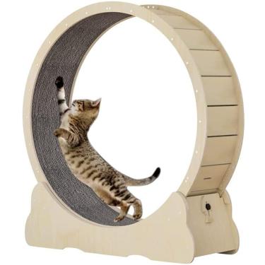 Magazine para gatos - Jogos para gatos e treino: Brinquedos de