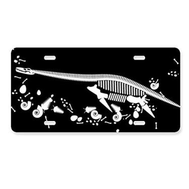 Imagem de DIYthinker Dinosaur Bone Bones Placa de licença pequena Decoração de carro Acessório de aço inoxidável