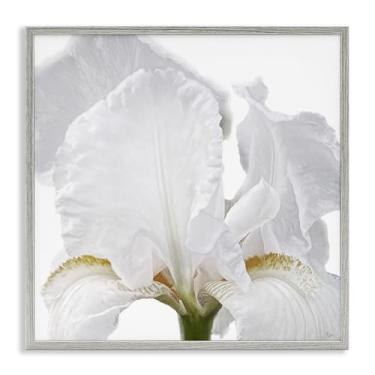 Imagem de Stupell Industries White Iris Close Up Gray Framed Giclee Art Design by Nan, 17 x 17