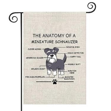Imagem de Miniatura Schnauzer Lovers Gift The Anatomy of A Miniature Schnauzer Garden Flag Mini Schnauzer Veterinary Mom Yard Flag (Schnauzer Miniatura)