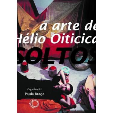 Imagem de Livro - Fios soltos: a arte de Hélio Oiticica