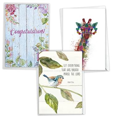 Imagem de NobleWorks Pacote sortido de 3 cartões de felicitações engraçados com envelopes (3 designs, 1 cada) Kudos To You VC10227CGG-C1x3