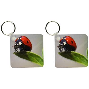 Imagem de 3dRose Ladybug Up Real Close - chaveiros, 5,7 x 11,4 cm, conjunto de 2 (kc_62380_1)