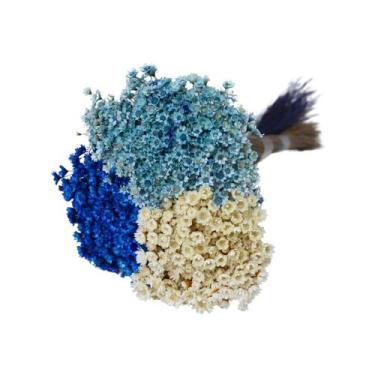 Imagem de Kit Sempre Viva 3 Cores - Branca, Roxo e Azul - Pense Flores