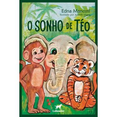 Imagem de Livro - O sonho de Téo