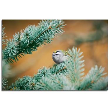 Imagem de Impressão em tela dourada Kinglet Bird Poster arte de parede para casa 1 peça decorações não ramificadas 30,5 x 20,3 cm