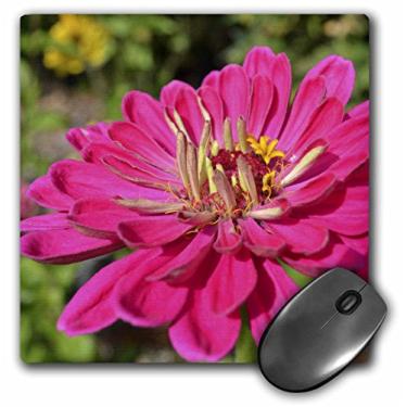 Imagem de 3dRose Mouse pad LLC 20 x 20 x 0,63 cm, rosa profundo Zinnia- Flores - Fotografia (mp_36300_1)