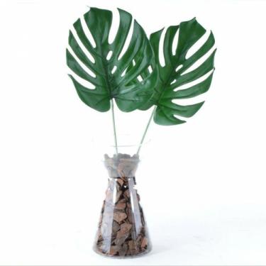 Imagem de Arranjo Solitário de Costela de Adão - Vila das Flores