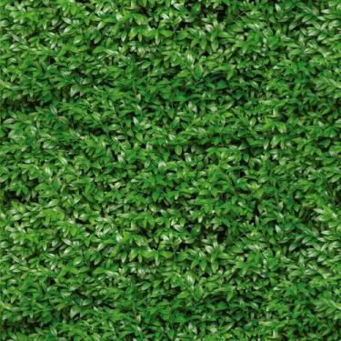 Imagem de Papel de Parede Adesivo Folhagem Hera Verde Lavável Varanda 3M - Colaí