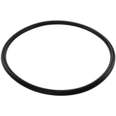 Imagem de Guarnição da flange do módulo de combustível Trs Omega 1999 a 2007 - D