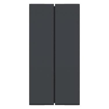 Imagem de Modulo Interruptor Duplo Simples 10A 250V 2M Orion Schneider