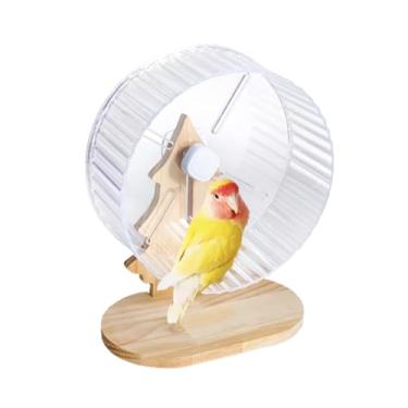 Imagem de Roda de exercício de papagaio super silenciosa com suporte, roda de corrida silenciosa de pássaros com suporte ajustável de altura para pombinhos, periquitos, conures, hamsters, pequenos animais (cor