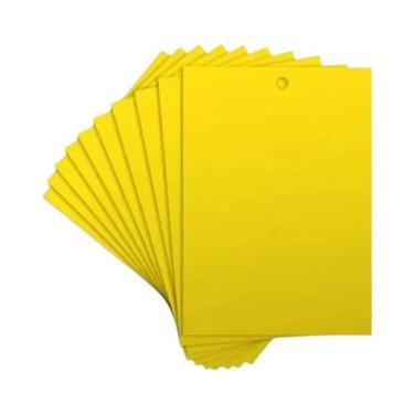 Imagem de Pacote Com 10 Armadilhas Para Moscas De Frutas E Insetos Com Placa De 