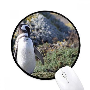 Imagem de DIYthinker Stand Southern Penguin SpheniscidaePicture Mouse Pad Desktop Office Tapete Redondo para Computador