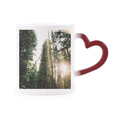 Imagem de Caneca verde floresta, ciência, natureza, cenário, sensível ao calor, caneca de grés que muda de cor vermelha