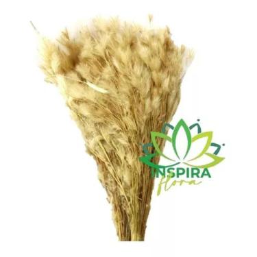 Imagem de Buque Pluma Pampas Grass Luxo Arranjo Elegante Decoração Lar - FLORA F