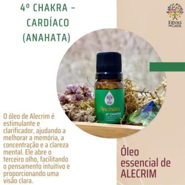 Imagem de Óleo essencial de alecrim - ERVAS DE GAYA