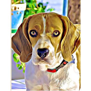 Imagem de 2022 Beagle Planner for Dog Lovers - Large Size (A4) Diary and Organizer - Weekly and Monthly Sections: Double Page Weekly Plan with space to write in ... and to-do list | Double Page Monthly Plan