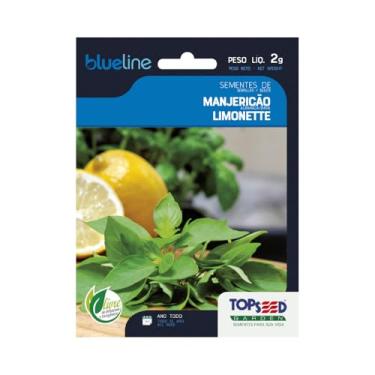 Imagem de Sementes de Manjericão Limonette, Erva Aromática, 2g, Cultivo o Ano Todo