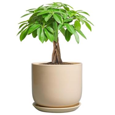 Imagem de SUNPOTFOR Vaso de cerâmica - Vaso de cerâmica redondo de 17 cm de meados do século para plantas de interior com orifício de drenagem e pires, decoração de casa moderna, amarelo