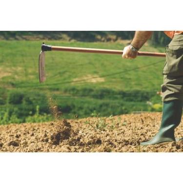 Imagem de Enxadão Largo 2.5 Tramontina em Aço com Cabo de Madeira 130 cm