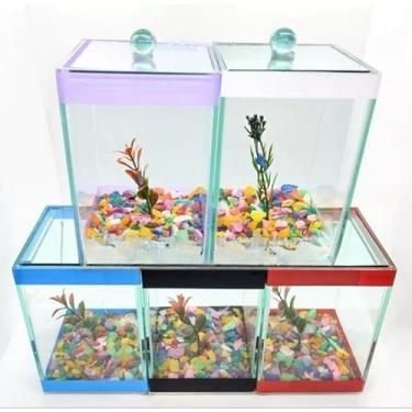 Imagem de Mini AquáRio | 10 X 10 X 13 Cm | AquáRio Para Peixes Betta