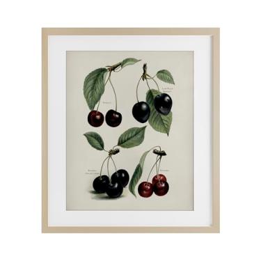 Imagem de Stupell Industries Impressão emoldurada de bétula de estudos de cereja detalhados naturais sob vidro, design por letras e forrado, 40,6 x 33,5 cm