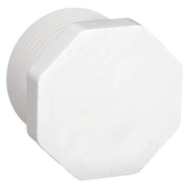 Imagem de 2" MNPT PVC Plug Sched 40