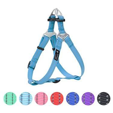 Imagem de EXCELLENT ELITE SPANKER Peitoral para cães sem puxar colete refletivo de nylon em forma de V ajustável, fácil para animais de estimação de raças pequenas, médias e grandes, adestramento de caminhada, preto e vermelho (azul-claro)