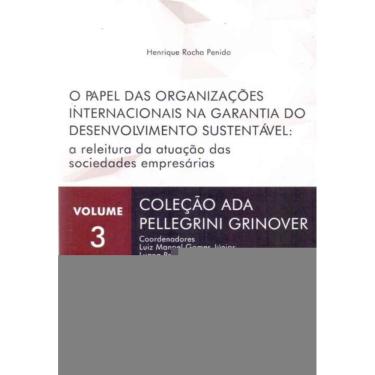 Imagem de Papel das Organizações Internacionais na Garantia do Desenvolvimento Sustentável, O