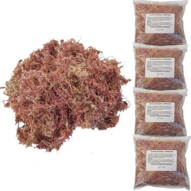 Imagem de Kit 4 Musgos Sphagnum 5 Litros Substrato P/ Plantas Orquídea - Orquifl