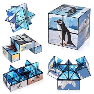 Imagem de Conjunto Magic Cube Euclidean Cube 2 em 1 de animais árticos/antártico