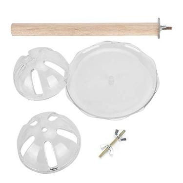 Imagem de TOPINCN Forrageamento Bola Brinquedo Acrílico Pássaro Gaiola Alimentador Inteligência Pássaro Crescimento Treinamento Brinquedo com Poleiro para Calopsita Periquito Conure Calopsita Cinzenta Africana