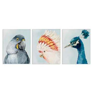 Imagem de Stupell Industries Vivid Plumage Bird Portraits Conjunto de arte de parede em tela de 3 peças, design por Hannah Dawson, 20 x 16