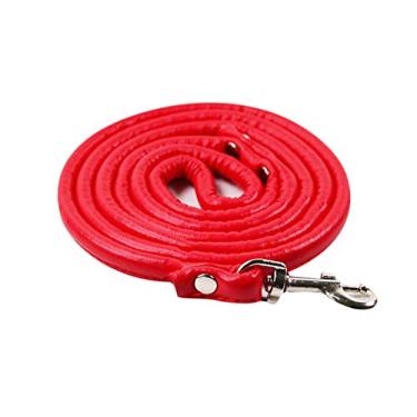 Imagem de PetPhindU Coleira para cachorro corda de couro PU para cães pequenos corda macia de gato cores brilhantes bichon de pelúcia