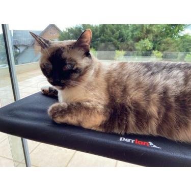 Imagem de Cama Rede De Janela Para Gatos Suspensa Preta - Gatificação - Petlon