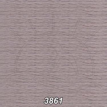 Imagem de Linha DMC Mouliné Spécial 8m - 8, 3861