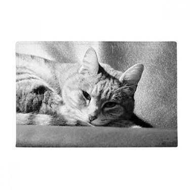 Imagem de DIYthinker Animal Puro Cinza Gato Fotografia Tapete Tapete Tapete Antiderrapante para Porta de Banheiro