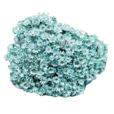 Imagem de SEMPRE VIVAS FLORZINHAS DESIDRATADAS PARA LEMBRANCINHAS ARRANJOS DE MESA CASAMENTOS MAÇO ORGANIZADO(AZUL CLARO)