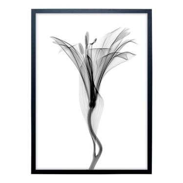 Imagem de Quadro Clássico Floral Raio-X III com Vidro Preto e Branco 50x70 cm