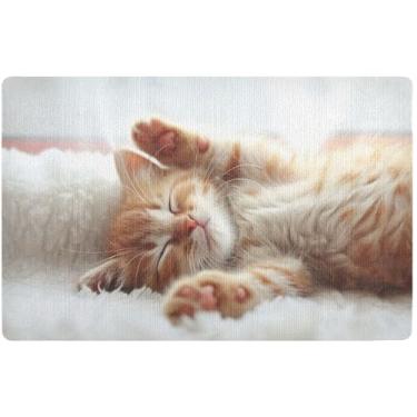 Imagem de TSENQUE Tapete personalizado fofo gatinho dormindo gato outono fofo tapete de varanda frontal tapete de boas-vindas absorvente antiderrapante tapetes internos 81 x 50 cm