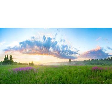 Imagem de Yeele Fundo de paisagem de vinil primavera verão 2x3 pés para fotografia rural nascer do sol campo prado flores silvestres fundo banner infantil cabine de fotos estúdio adereços