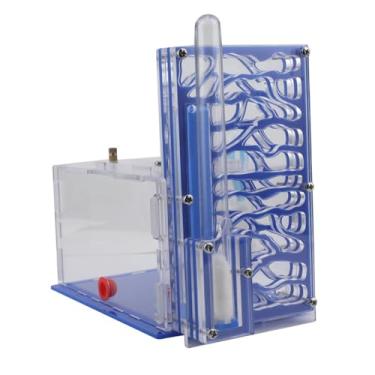 Imagem de Stgfyxgs Fazenda de Formigas de Acrílico Transparente, Brinquedo Divertido para Oficina, Fazenda, Vila, Sala de Estar, Quarto, Festa Infantil, Azul