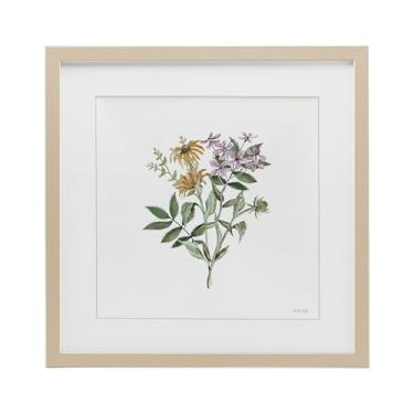 Imagem de Stupell Industries Impressão emoldurada de bétula florescendo botânica sob vidro, design de Cindy Jacobs, 33 x 33