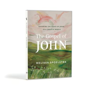 Imagem de Gospel Of John, The - DVD Set