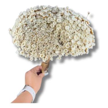 Imagem de Buque Flor de Sempre Viva Branca Colorida 1500 Florzinha Lembrancinha 