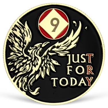 Imagem de Medalhão Phoenix 9 Year NA Just for Today Recovery Chip com Serenity Prayer NA AA Sobriety Coin Nove Year Narcóticos Anônimos Presentes para Homens Mulheres Comemorando Vida Limpa e Sóbria