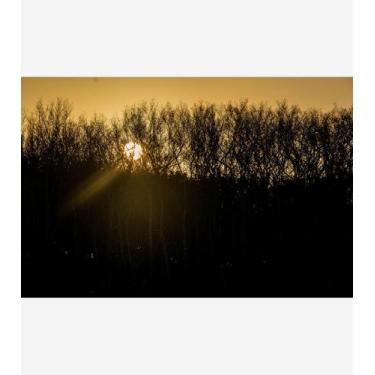 Imagem de Silêncio Infinito 22 - Amazart